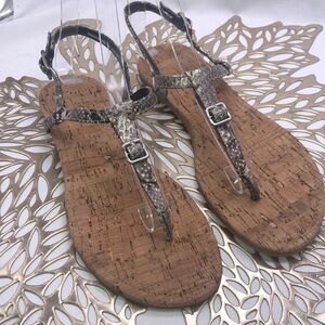 Cole Haan Cork Insole Snake with Buckle Detail Between Toe Sandals Size 6 NWOT